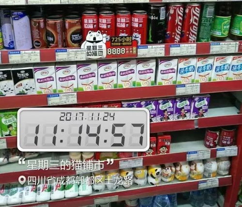 饮料代理商凭什么冬季就要亏钱？别让传统观念束缚你的盈利空间！—渔需物资销售带来的新机遇